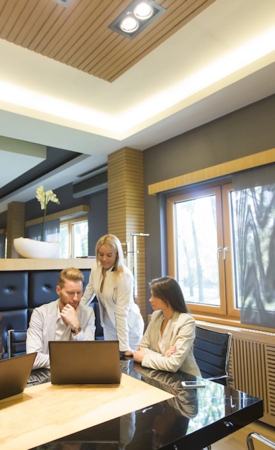 Business people working together in the office